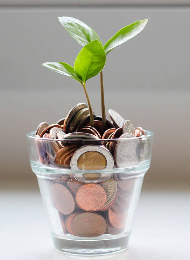 Ein Glass voller Geldmünzen aus dem zwei Pflanzen spriessen
